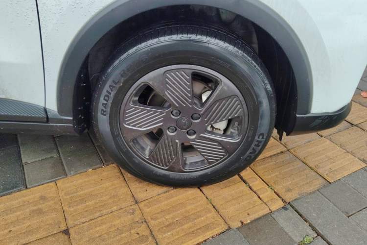 Used Geometry E Firefly 2022 401KM Lightning Tiger 4-Seater