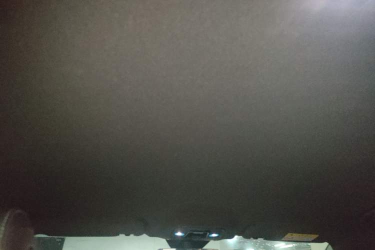 Used BYD Seal 06 New Energy 2024 DM-i 80KM Prestige Model Headliner