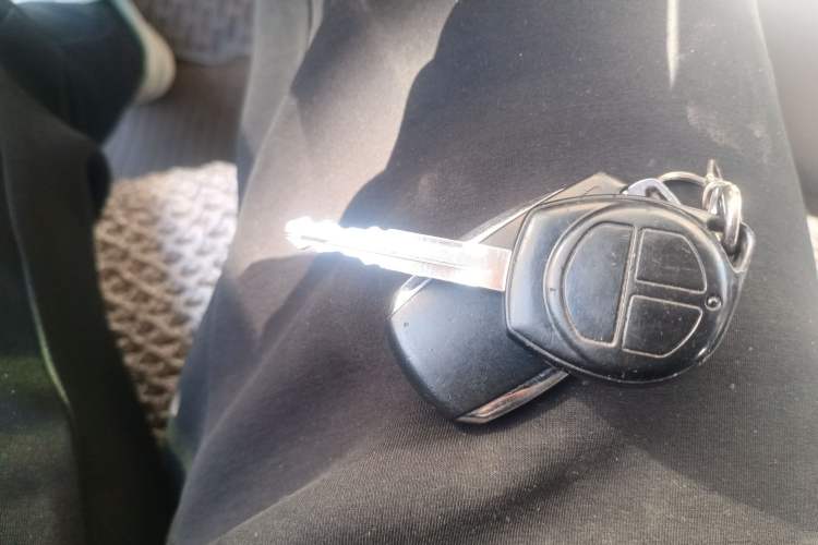 Used Jinbei Grace 2018 2.0L Express Luxury 7-Seater V19
