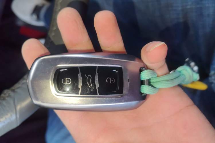 Used Geely Galaxy Panda 2024 Panda Mini 200km Endurance Bear
