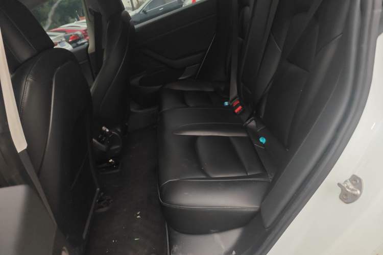 Used Tesla Model 3 2019 Standard Range Rear-Drive Upgraded Version