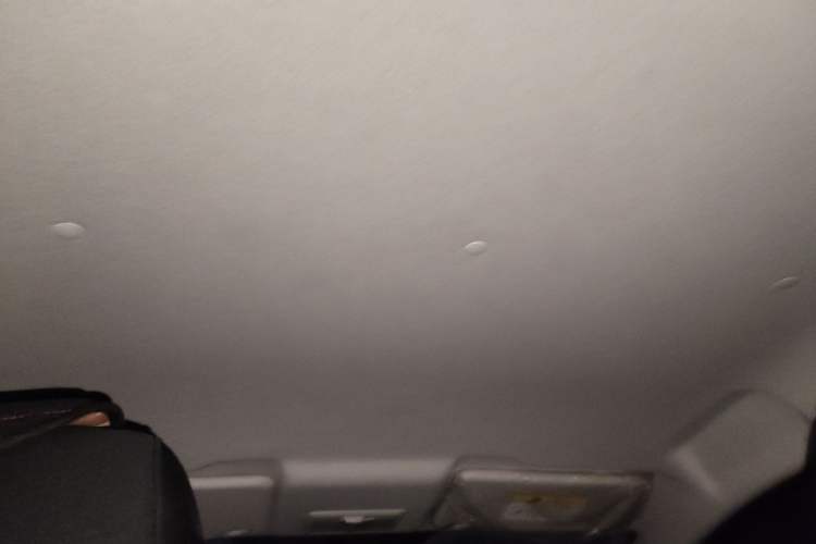 Used CHANGAN Benni E-Star 2021 National Edition Colorful Version Lithium Iron Phosphate (31.95 kWh) Headliner