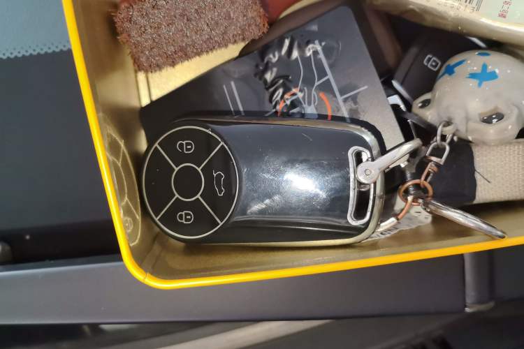 Used ORA Good Cat GT 2024 Mulan Edition 401km Luxury Version