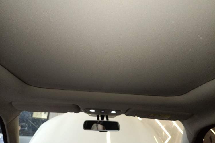 Used Leapmotor T03 2022 YAOJIN Edition Headliner