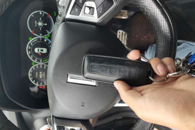 Used Wey P8 2018 2.0T Flagship Model