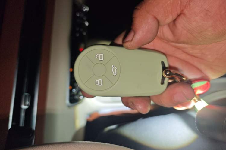 Used ORA Good Cat 2022 Morandi Edition 400km Standard Range Premium Version Lithium Iron Phosphate
