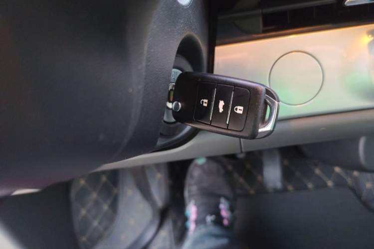 Used Qiyuan Lumin 2025 205 km Xiangqin Version