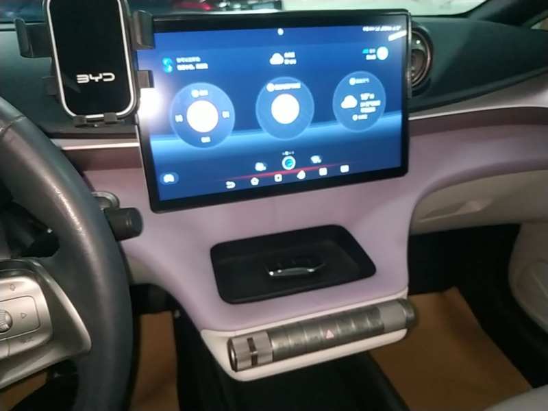 Used BYD Dolphin 2021 405 km Fashion Edition — 12