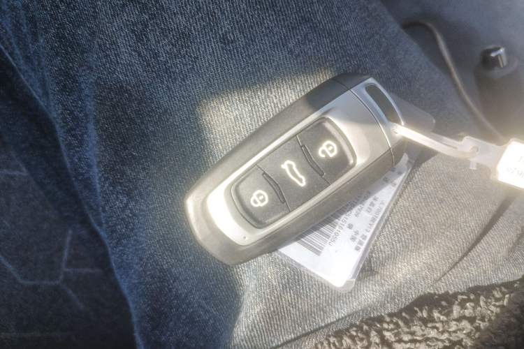 Used Geely Galaxy Panda 2024 Panda Mini 200km Endurance Bear
