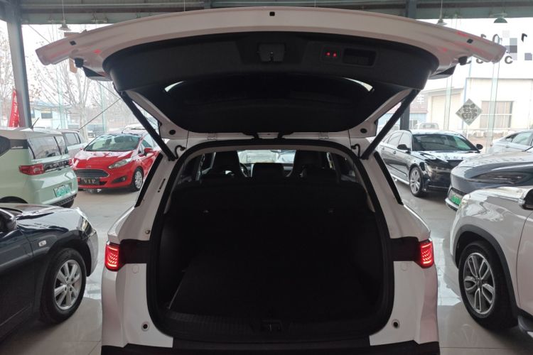 Used BYD Sealion 05 DM-i 2025 DM-i Smart Drive 115KM Flagship Model