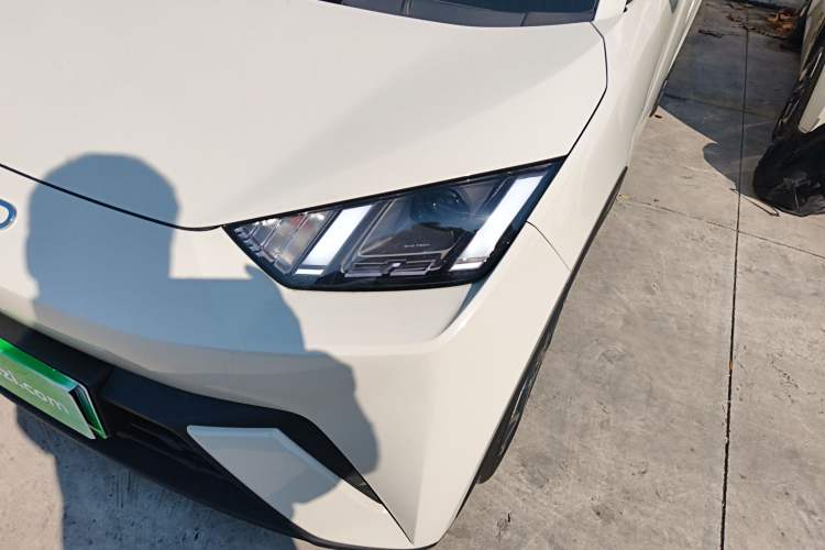 Used BYD Seagull 2025 305 km Free Version