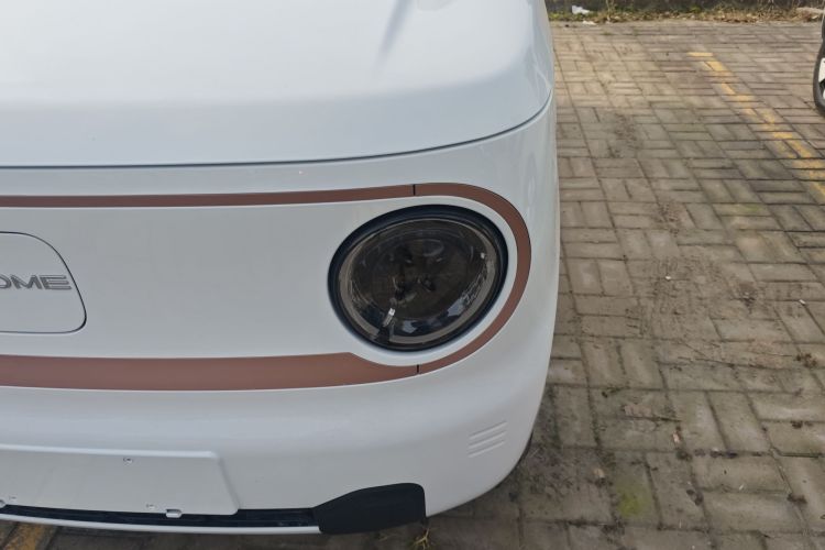 Used Geely Galaxy Panda 2024 Panda Mini 200km Endurance Bear
