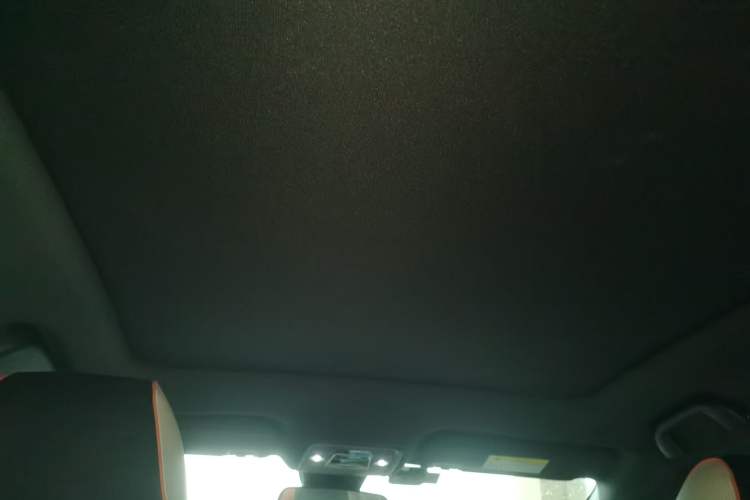 Used BYD Dolphin 2021 405 km Free Version Headliner