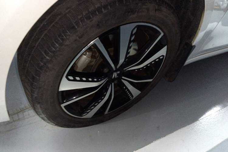 Used Rising ER6 2020 620 km Smart Drive Version