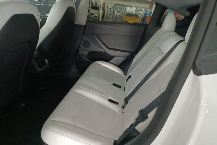 Used Tesla Model Y 2021 Long-Range All-Wheel-Drive Version 3D7