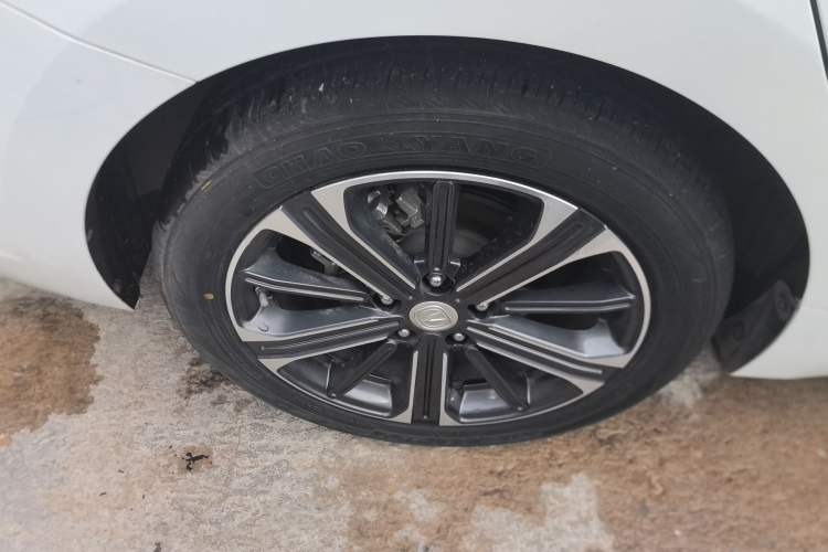 Used CHANGAN Ruicheng CC 2022 Blue Whale Edition 1.5T DCT Luxury Model
