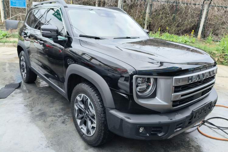 Used Haval DARGO 2024 2.0T DCT Chinese Rural Dog Edition
