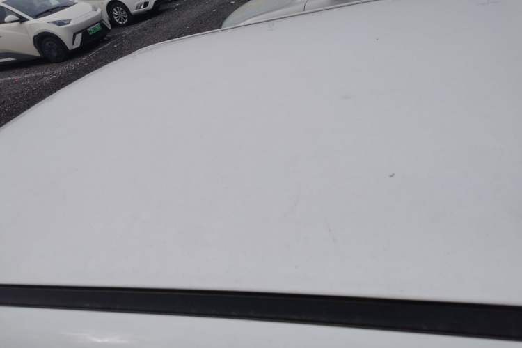 Used Qiyuan Lumin 2023 205km Xiangqin Version