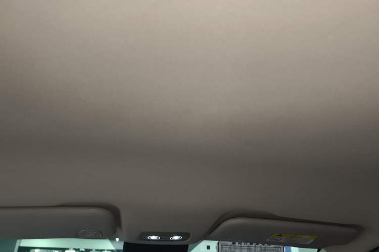 Used NETA V 2022 Chao 300 Lite Lithium Iron Phosphate Headliner