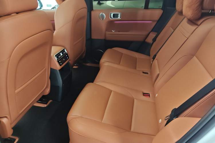 Used Li Auto L6 2024 Pro Model Left Rear Seat