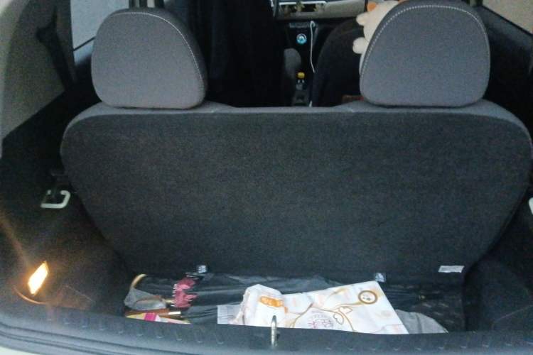 Used ORA White Cat 2020 305 km Luxury Version
