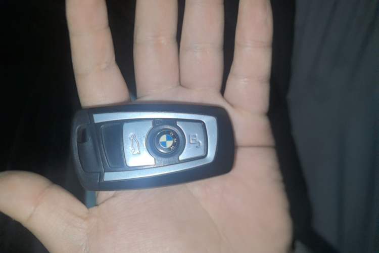 Used BMW 3 Series 2017 320Li Luxury Design Package
