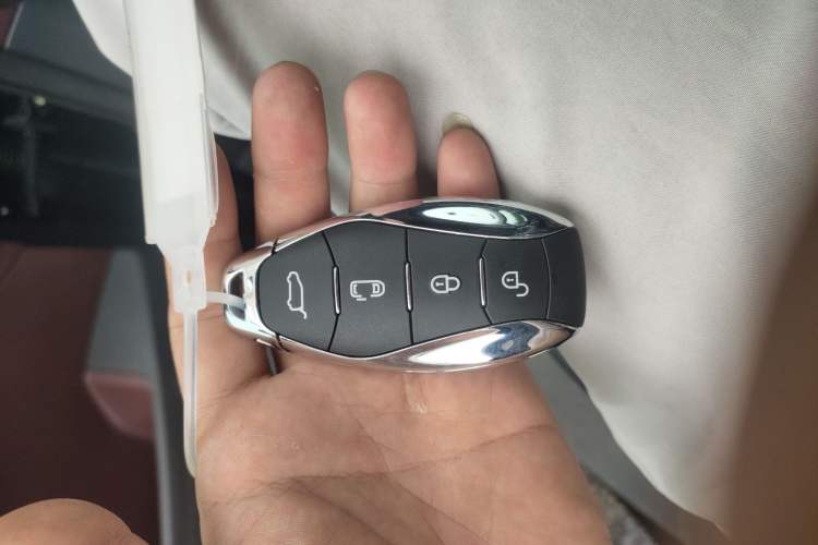 Used Hongqi HQ9 2023 2.0T Smart Connect Flagship Edition