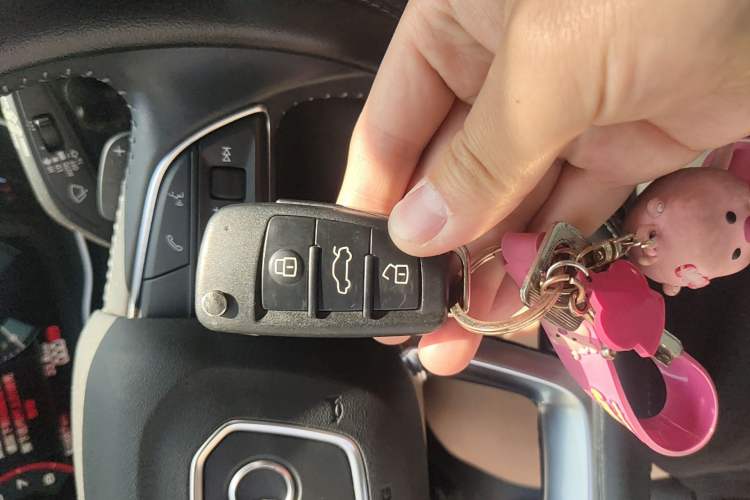 Used Audi Q3 2019 40 TFSI Fashion Dynamic Model
