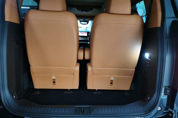 Used Wey Gaoshan 2023 Four-Wheel-Drive Executive Extended Version