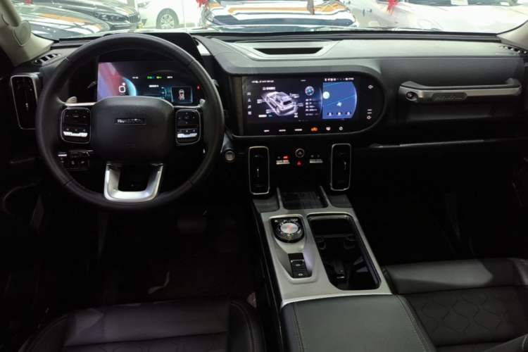 Used Haval DARGO 2024 2.0T DCT Chinese Rural Dog Edition