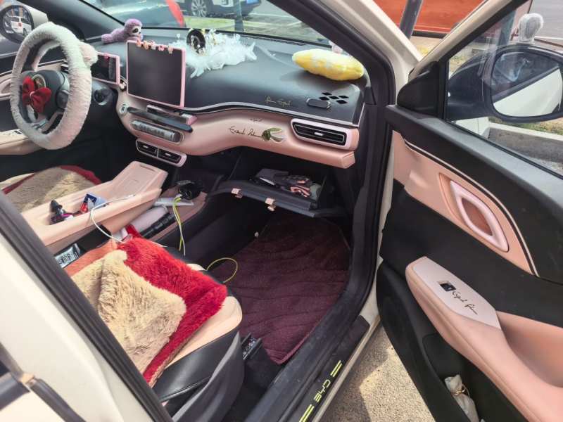 Used BYD Seagull 2025 305 km Free Version — 22