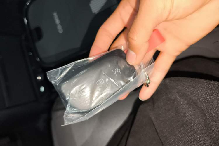 Used Lynk & Co Z20 2025 530 km Range Rear-Wheel Drive Max