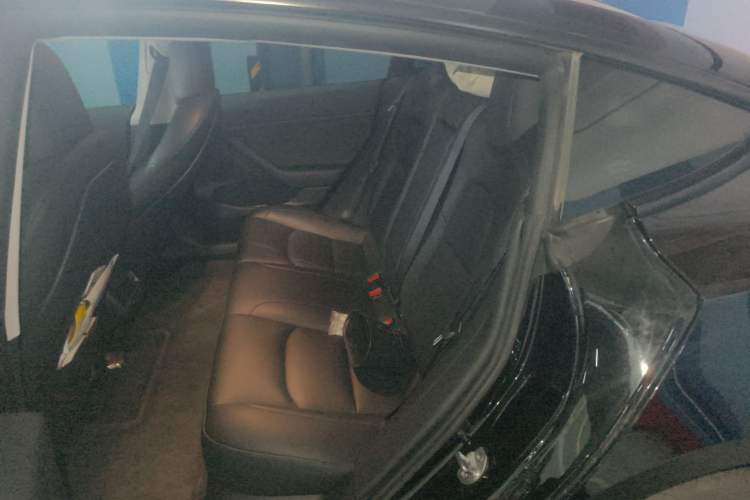 Used Tesla Model 3 2021 Standard Range Rear-Wheel Drive Upgraded Version 3D6
