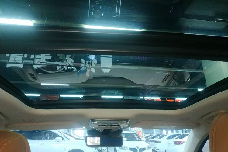 Used Hongqi H9 2020 2.0T Smart Connect Flagship Edition