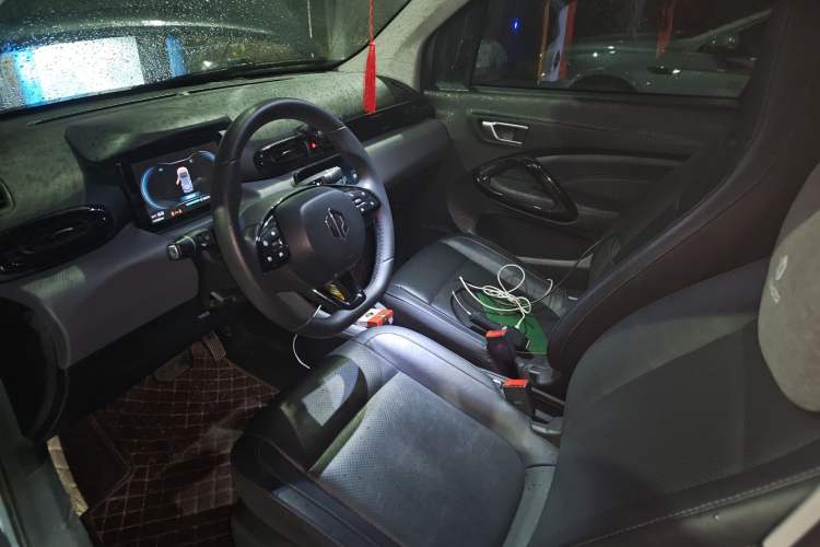 Used Leapmotor T03 2020 400 Luxury Edition Left Front Seat