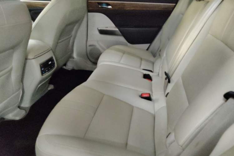 Used GAC Trumpchi GS8 2017 320T Two-Wheel Drive Luxury Smart Connectivity Version (7 Seats)
