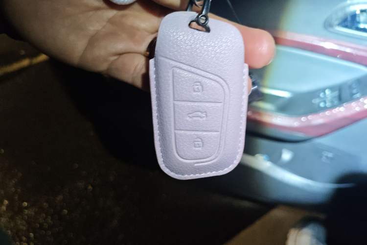 Used Chery QQ Little Ant 2022 Restyled Version Sweet Pink Edition Low-Sugar Version Lithium Iron Phosphate Battery 30.7 kWh 30 kW 301 km
