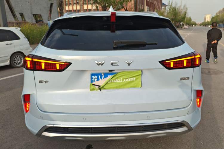 Used Wey Mocha 2021 2.0T Two-Wheel-Drive Premium Edition