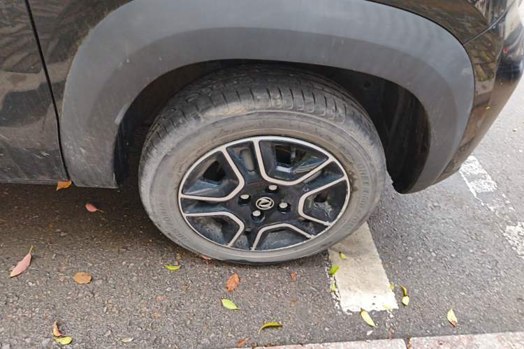 Used Dongfeng NAMMI EX1 2022 Revised PRO Tiger Glory Advanced Version
