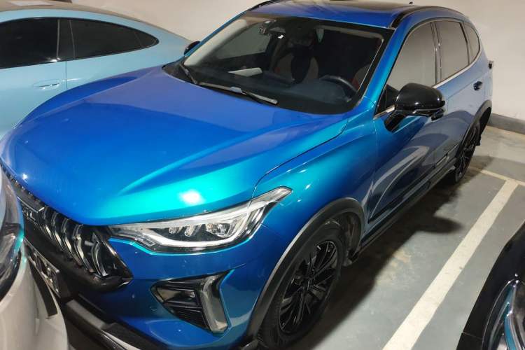 Used Haval LHERY 2021 High-Performance Version 1.5T Golden Rabbit