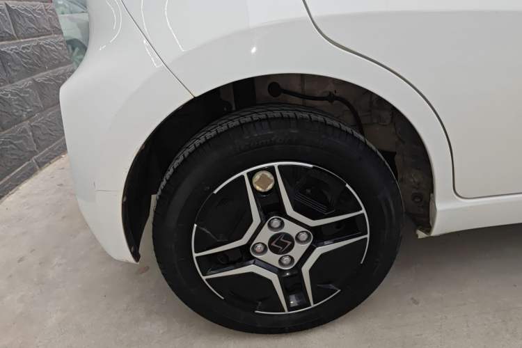 Used SOL E10X 2022 Flower Fairy Design Four-Leaf Clover