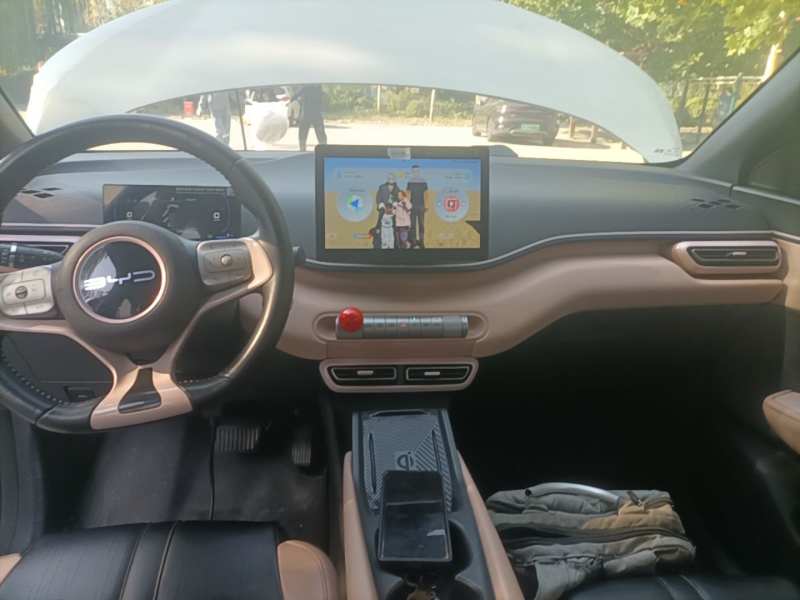 Used BYD Seagull 2023 Free Edition — 12