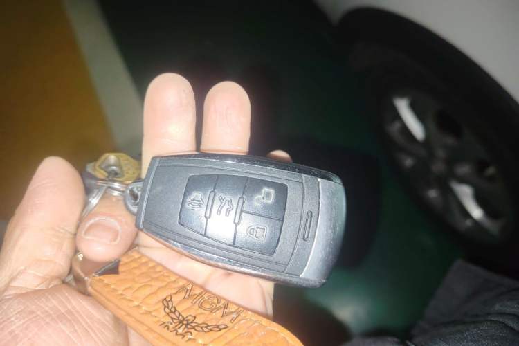 Used BAIC New Energy EC5 2019 New Style Edition Vehicle Key