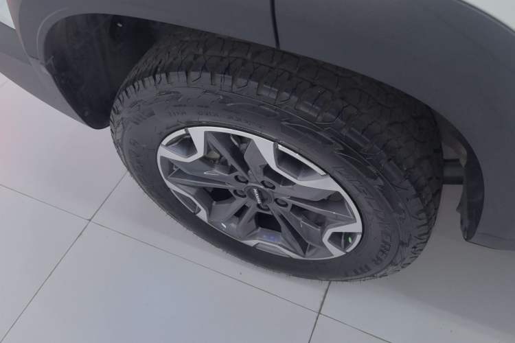 Used Haval DARGO 2024 2.0T DCT Chinese Rural Dog Edition
