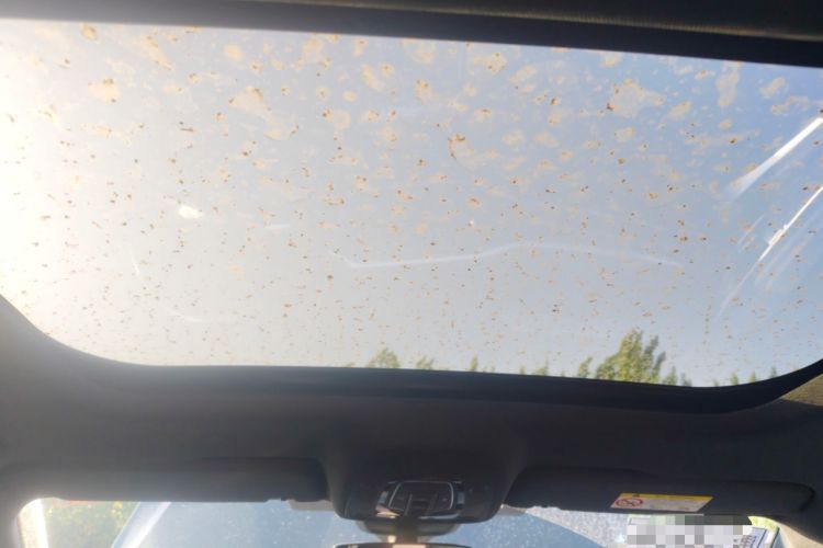 Used Audi A6L 2024 45 TFSI quattro Prestige Dynamic Edition