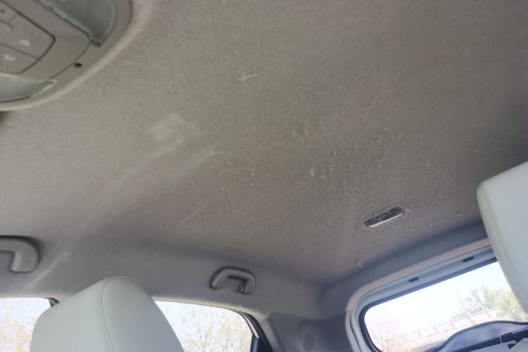 Used BYD Yuan Pro 2021 401 km Luxury Version Headliner