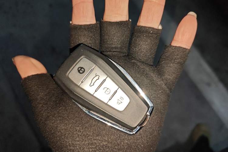 Used Geometry E Firefly 2024 301km Starlight
