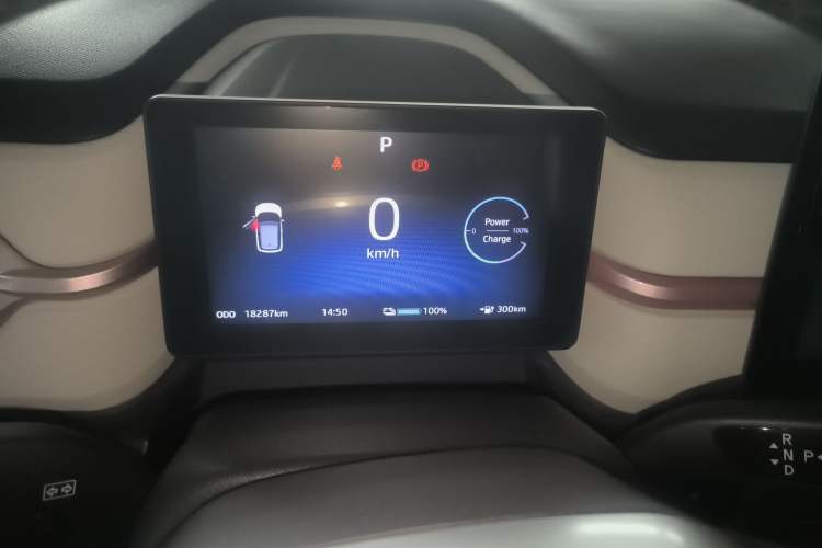 Used SOL E10X 2022 Flower Fairy Style Baby's Breath