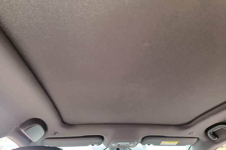Used BYD Dolphin 2023 401km Knight Edition Headliner