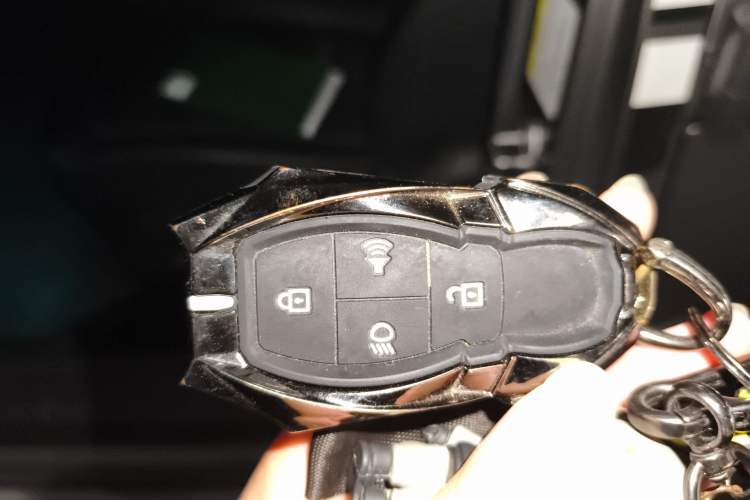 Used BAIC Off-Road BJ40 2023 2.0T Automatic Four-Wheel Drive Ring of the Tower Champion Edition